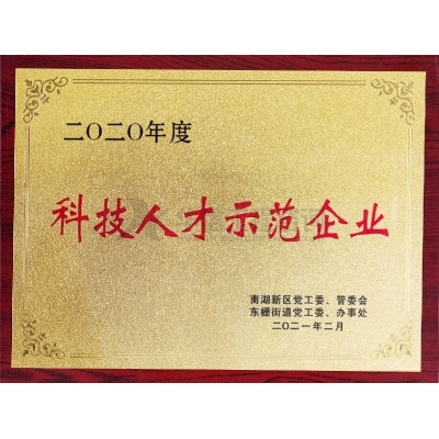 2020年度科技人才示范企業(yè)